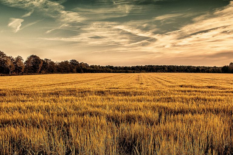 Landwirtschaftsdialog im Kanzleramt