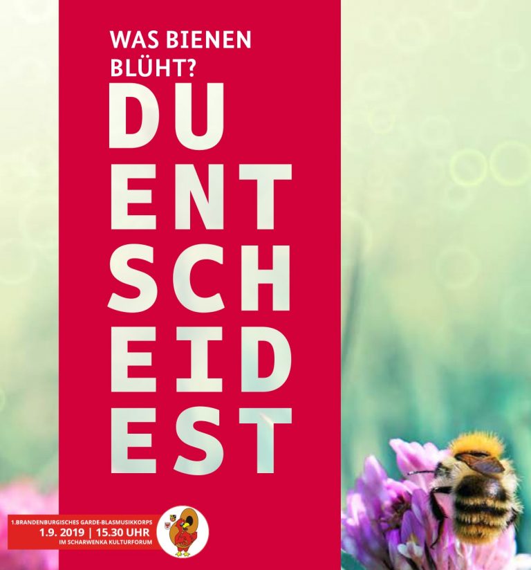 Du entscheidest!