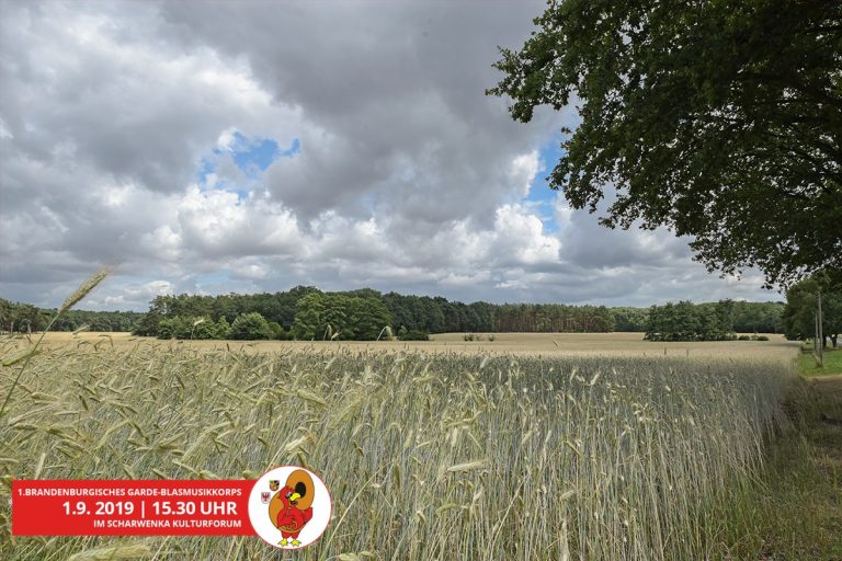 Dürrehilfen 2018 abgeschlossen