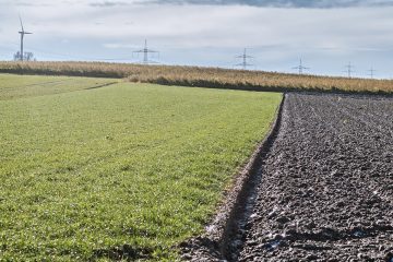 Soforthilfen für Brandenburgs Landwirtschaft