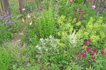 Herbstliches Freiluft-Seminar auf Burg Storkow