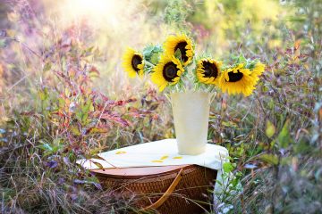 Gesundheits-Seminar im Herbst