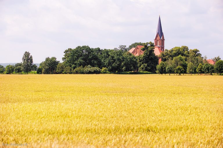 Oderbruch bewirbt sich für Europäisches Kulturerbe-Siegel