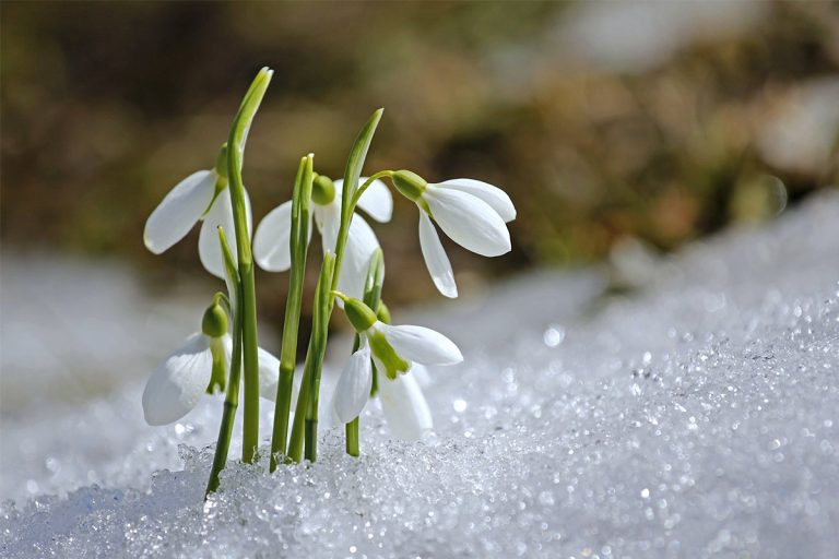 Schnellste Winterzeit