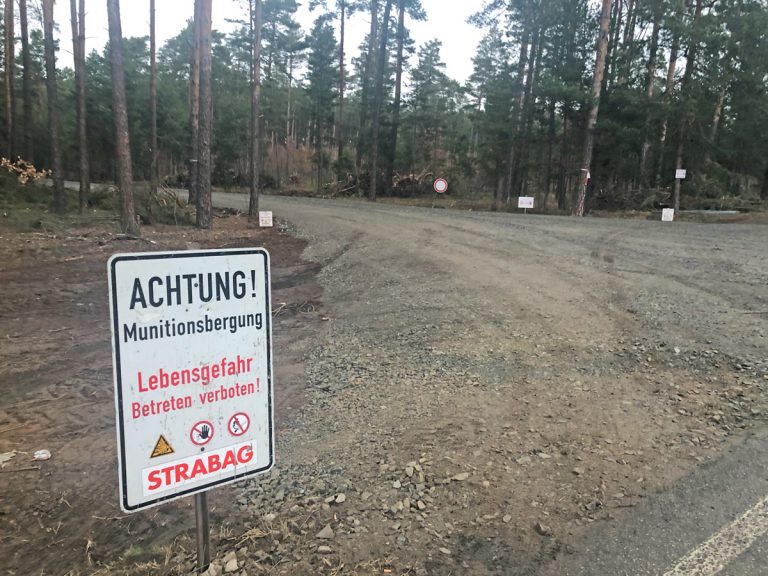 Gigafactory in Grünheide