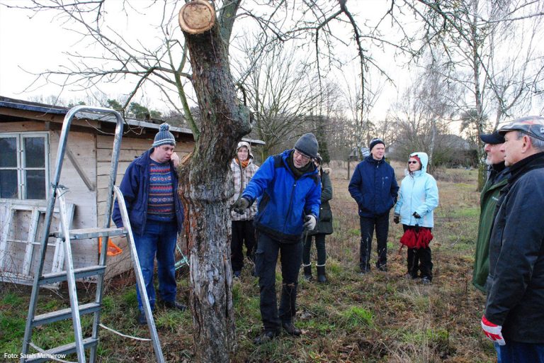 Baumschnitt-Seminar auf Burg Storkow
