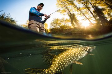 Oder Spree News – Angler