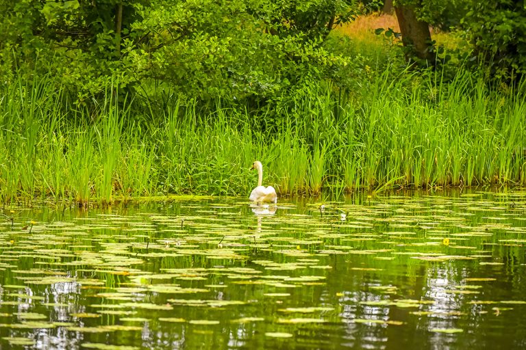 Trotz Regen bleiben Sorgenfalten bei der Wasserbewirtschaftung