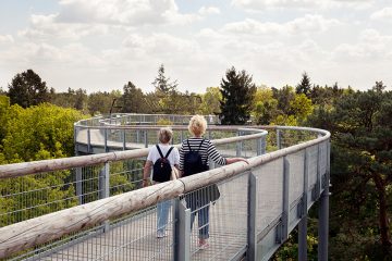 Frische Luft auf dem Baumkronenpfad tanken