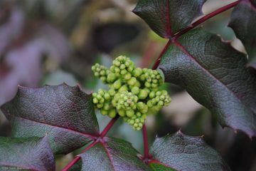 Gesundheitsseminar auf der Burg Storkow