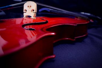 Fürstenwalder Musikzyklus jetzt per Internet