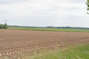 Landwirtschaftsbetriebe & Agrarförderung
