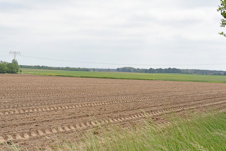 Landwirtschaftsbetriebe & Agrarförderung