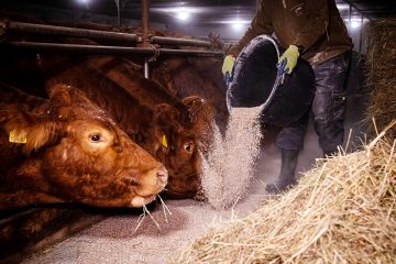Beschäftigte in der Landwirtschaft bangen um Zusatzrente