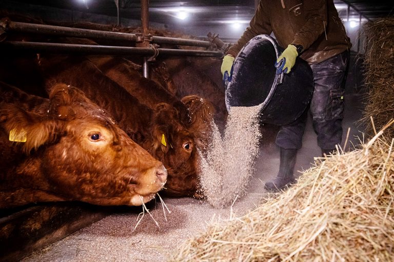 Beschäftigte in der Landwirtschaft bangen um Zusatzrente