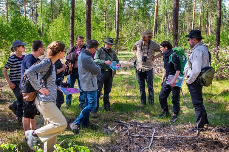 Waldbrandflächen als Lernorte für Forschung und Gesellschaft