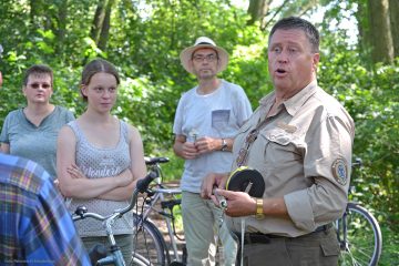Brandenburgs Ranger bieten wieder Naturführungen
