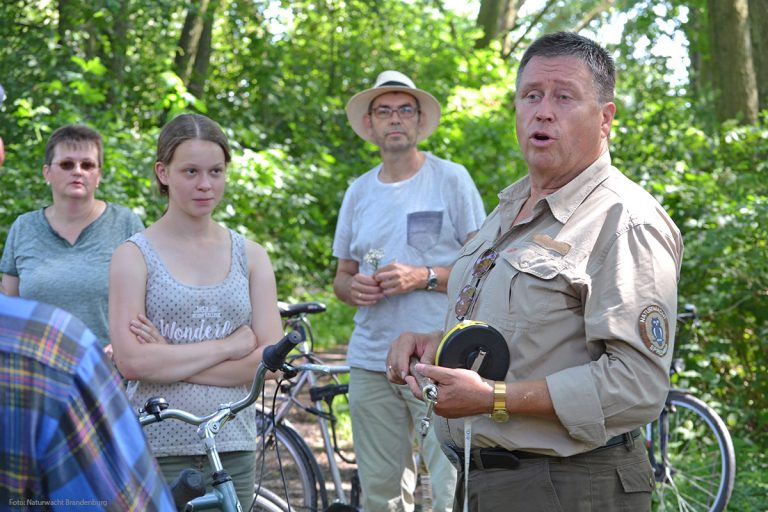Brandenburgs Ranger bieten wieder Naturführungen
