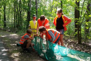Entdecker-Sommerferien – Aktiv in der Natur