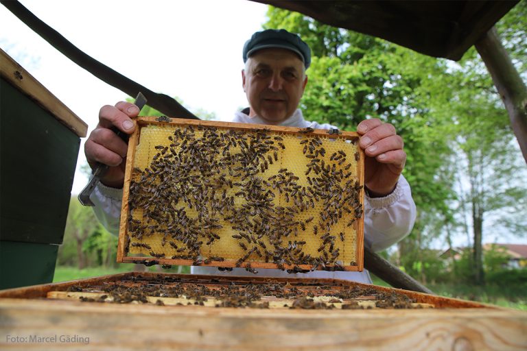 Seminarreihe „Du und Dein Garten im Naturpark“ startet wieder
