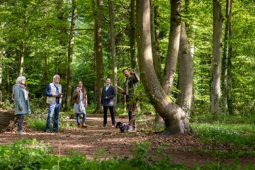 Waldführung durch den FriedWald Fürstenwalde