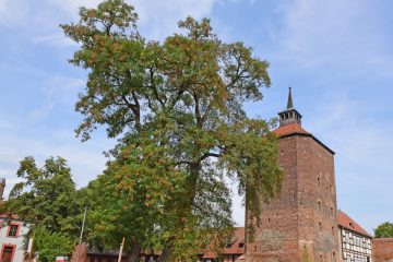 Literaturstipendium „Burgschreiber zu Beeskow“