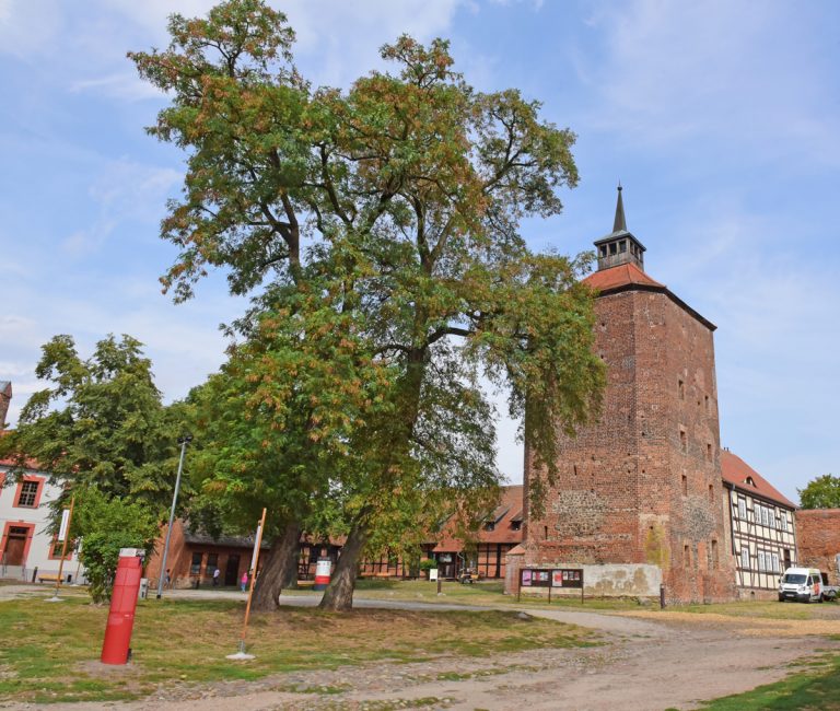 Literaturstipendium „Burgschreiber zu Beeskow“
