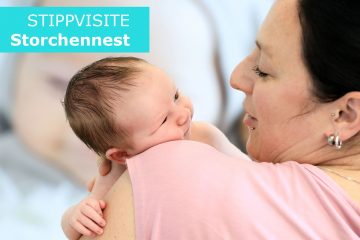 Auf Stippvisite im Storchennest