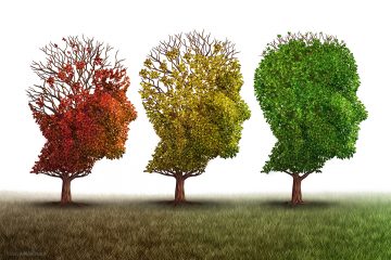 Mehr Aufmerksamkeit für Demenz