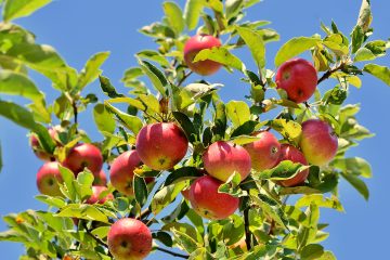 Zunehmende Bedeutung zur Sicherung der Produktion