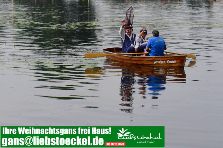 Pünktlich zur Weihnachtszeit erschienen