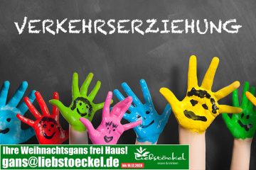Verkehrserziehung via Videokonferenz