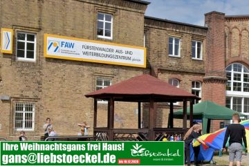 Virtuelle Aktionswoche der Beruflichen Schule Paula Fürst