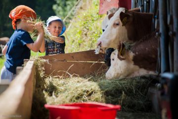 Mangelware Festtagsbraten aus tiergerechter Haltung