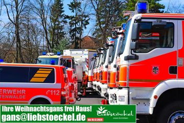 Brandenburger Feuerwehren zukunftssicher machen!
