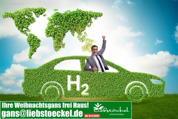 Energieträger für Europa