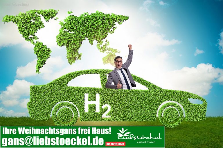 Energieträger für Europa