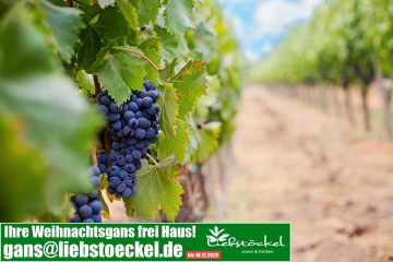 Erster Schritt in Richtung Qualitätswein