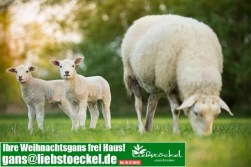 Flächenpool für Brandenburg ist jetzt online verfügbar