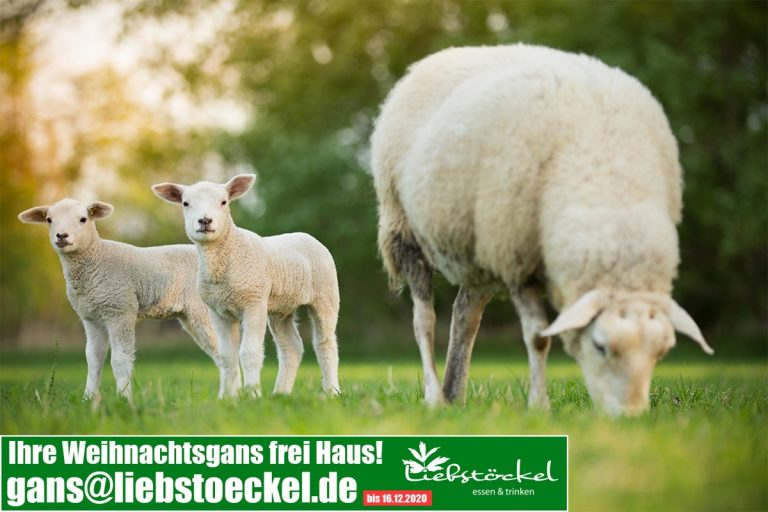 Flächenpool für Brandenburg ist jetzt online verfügbar