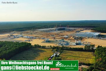 Tesla – Zulassung vorzeitigen Beginns
