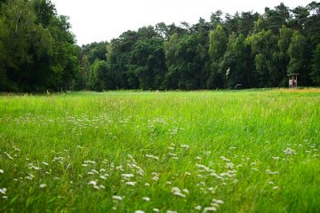 Lieblingsplatz im Naturpark