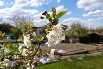 Fit für die kommende Gartensaison