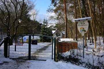Grünes Klassenzimmer