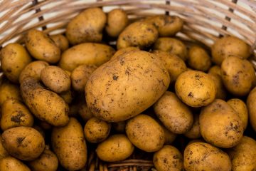 Pflanzkartoffel- und Saatgutverkauf