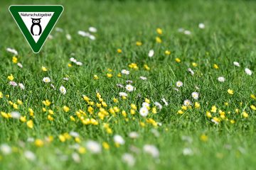 Brandenburg ist bei Erfüllung seiner Naturschutzziele hinterher