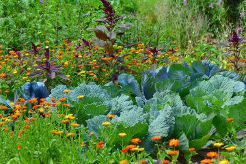 Frühlingszeit heißt Gartenzeit