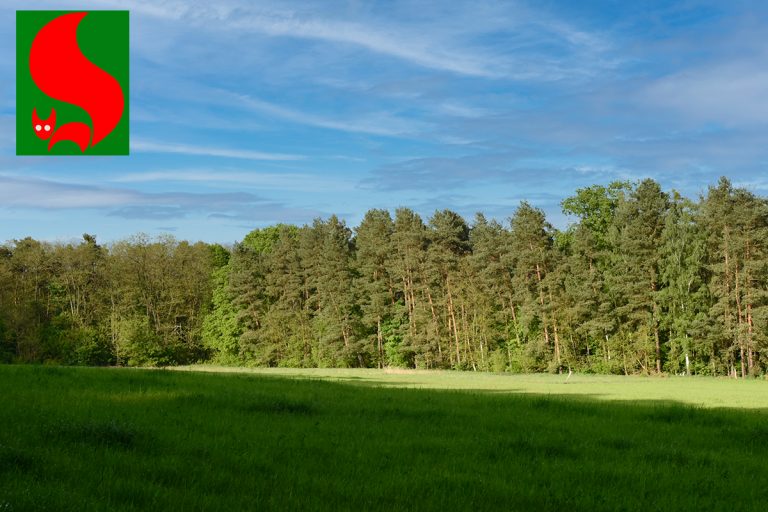 Hohe Waldbrandgefahr