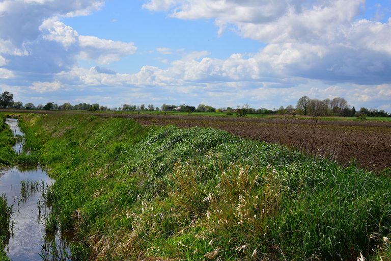 Agrarförderung für Landwirtschaftsbetriebe