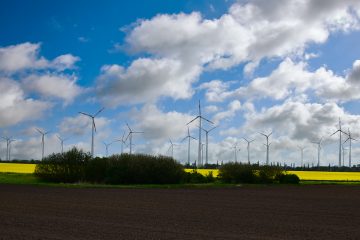 Brandenburg ist Partnerland der „Husum Wind 2021“